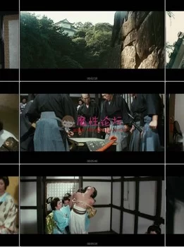 [经典粉红片系列 新色历大奥秘史 进贡美女 1972][DVD9-ISO/1V/5.40G] [百度云]